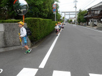 IMGP8437