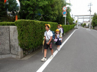 IMGP8438