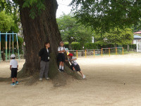 IMGP8492