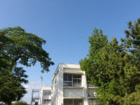 IMGP8516