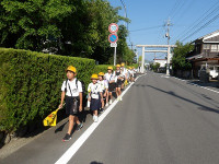 IMGP8508