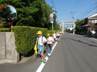 IMGP8509