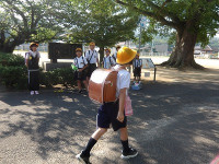 IMGP8515