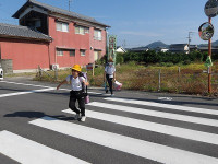 IMGP8518