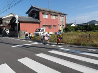 IMGP8595