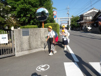 IMGP8601