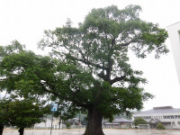 IMGP8694