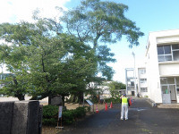 IMGP8722