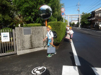 IMGP8731