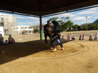 IMGP8778