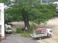 IMGP8837