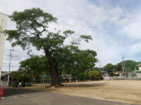 IMGP8841