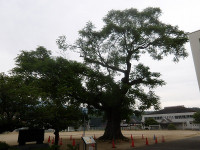 IMGP8860