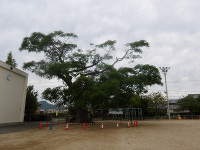 IMGP8861
