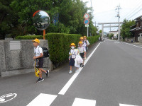 IMGP8849