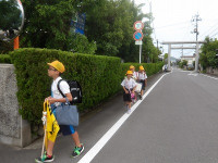 IMGP8851