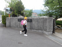 IMGP8854