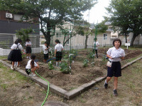 IMGP8862