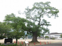 IMGP8893