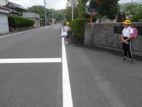 IMGP8901