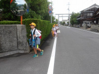 IMGP8906