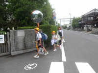 IMGP8908