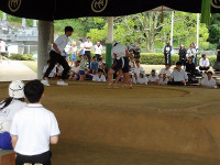 IMGP1148