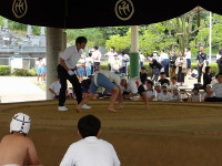IMGP1153