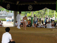 IMGP1161