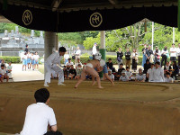 IMGP1163