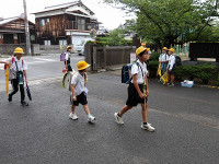 IMGP1207