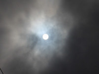 IMGP1264