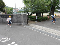 IMGP1256