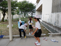 IMGP1269