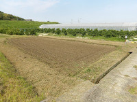IMGP1416