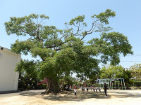 IMGP1620