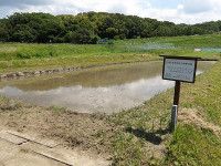 IMGP1726