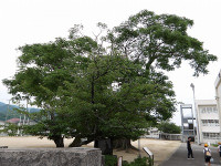 IMGP0027