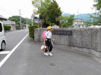 IMGP0028
