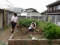 IMGP0049