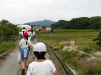 IMGP0068