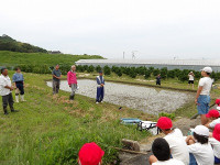 IMGP0161