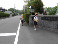 IMGP0210