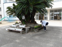 IMGP0275