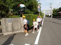 IMGP0292
