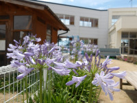 IMGP0387