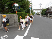 IMGP0417