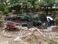 IMGP0524