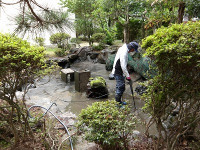 IMGP0534