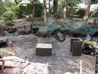 IMGP0536